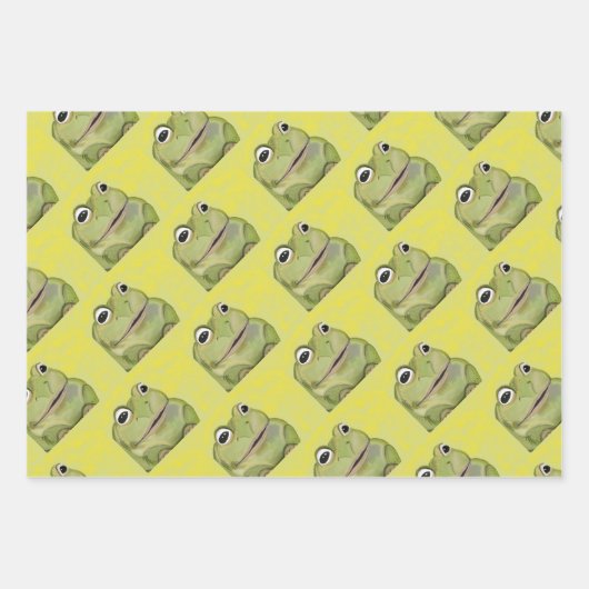 Papier d'emballage d'impression de grenouille (Devant)
