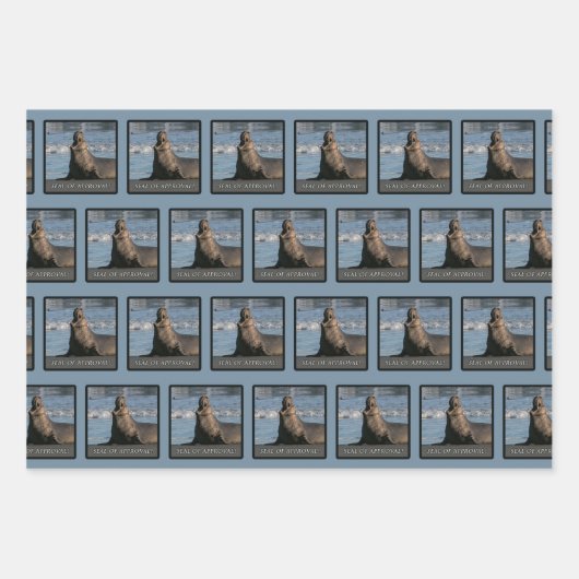 Papier D'Emballage D'Un Sceau D'Éléphant (Mix) (Devant)