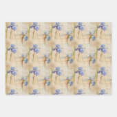 Papier d'emballage en iris (Devant 2)