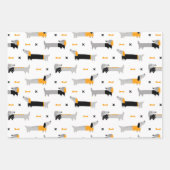 Papier d'emballage ensemble de dachshunds en pulls (Devant)