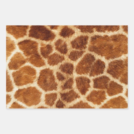 Papier d'emballage Girafe à motifs Animaux Feuille (Devant)