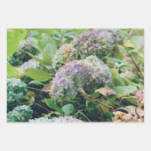 Papier d'emballage Hydrangeas (Devant 3)