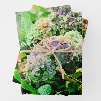 Papier d'emballage Hydrangeas