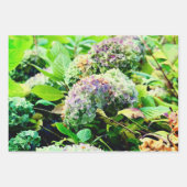 Papier d'emballage Hydrangeas (Devant)