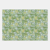 Papier d'emballage motif à citron doux (Devant 3)