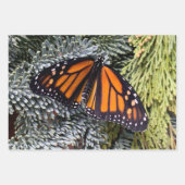 Papier d'emballage papillon monarque (Devant)