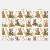 Papier d'emballage pépinière de couleurs Patel (Devant 3)