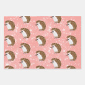 Papier d'emballage pour hérisson funky (Devant 3)