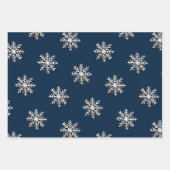 Papier d'enneigement métallique (Devant 2)