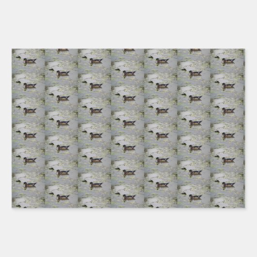 Papier d'enrobage de canards de bois (Devant 3)