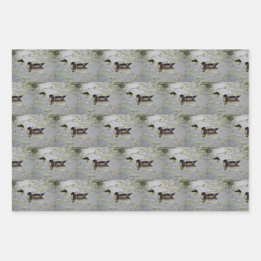 Papier d'enrobage de canards de bois (Devant 2)