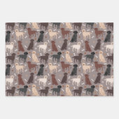 Papier d'enrobage de pattes et d'os du Labrador S (Devant 2)