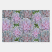 Papier d'enrobage floral Succulent pourpre (Devant 3)