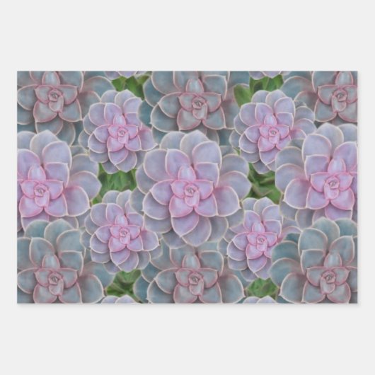 Papier d'enrobage floral Succulent pourpre (Devant 2)
