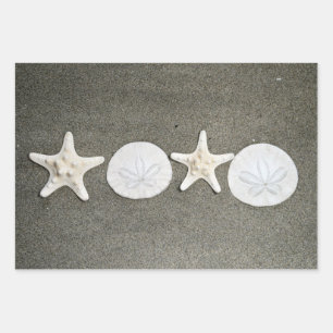 Papier d'enveloppement cadeau de Beach X et O