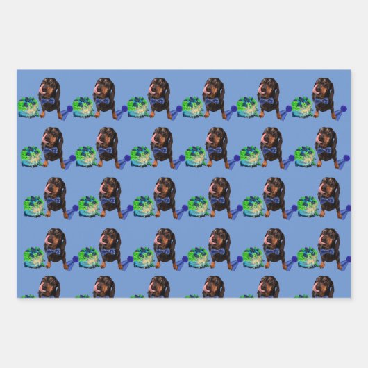 Papier d'enveloppement DachsundLove mignon 48x73cm (Devant 2)