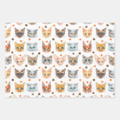 Papier d'enveloppement de chats et de pattes de 3 (Devant)