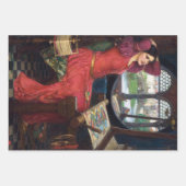 Papier d'enveloppement de découpage pour femmes de (Devant 2)