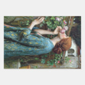 Papier d'enveloppement de découpage pour femmes de (Devant)