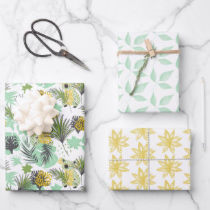 Papier d'enveloppement de l'ours de Koala série de