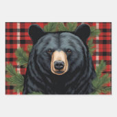 Papier d'enveloppement de l'ours noir du Nord (Devant 2)