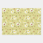 Papier d'enveloppement de marguerites et de coccin (Devant 3)