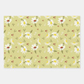 Papier d'enveloppement de marguerites et de coccin (Devant 2)