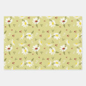 Papier d'enveloppement de marguerites et de coccin (Devant)