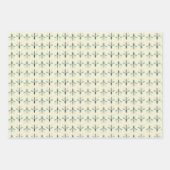 Papier d'enveloppement de moustiques (Devant 2)