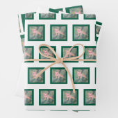 Papier d'enveloppement de Noël Kitty (En situation)