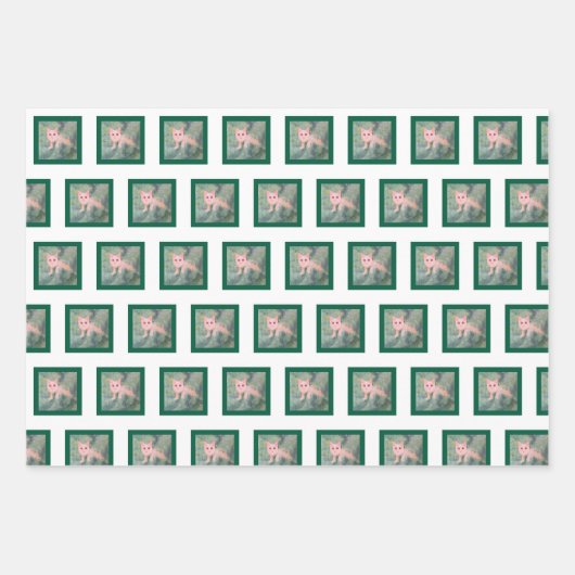 Papier d'enveloppement de Noël Kitty (Devant)