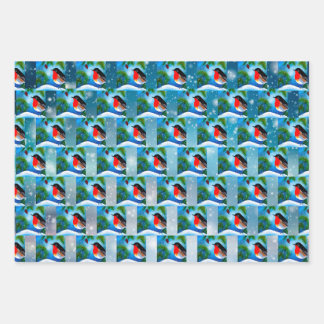 Papier d'enveloppement de Noël, Parfait pour les c