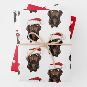Papier d'enveloppement de Noël pour chien de sauci