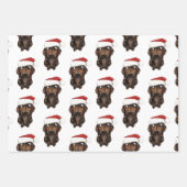 Papier d'enveloppement de Noël pour chien de sauci (Devant)