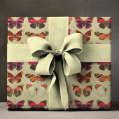 Papier d'enveloppement de papillon gras et coloré