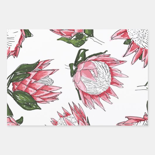 Papier d'enveloppement de Protea rose de 3 (Devant)
