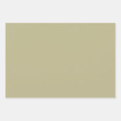 Papier d'enveloppement de tarte de la Nouvelle-Éco (Devant 2)