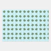 Papier d'enveloppement de tortue de mer (Devant 2)