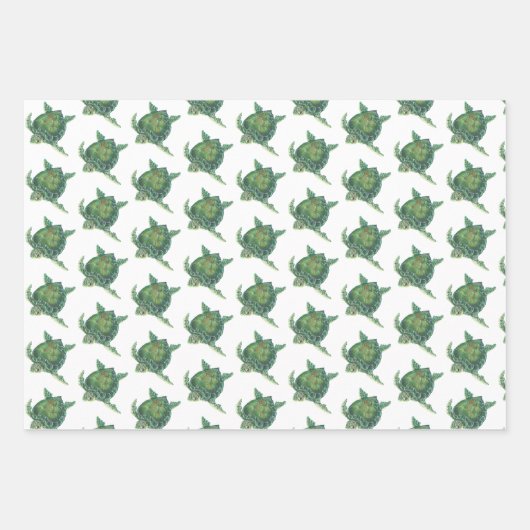 Papier d'enveloppement de tortue de mer (Devant)
