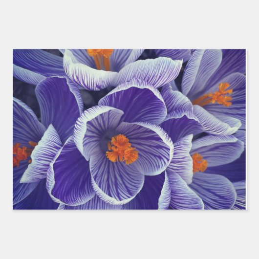 Papier d'enveloppement de tulipes violettes (Devant)