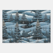 Papier d'enveloppement de variétés hiver/nature -  (Devant 3)