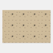 Papier d'enveloppement déplaisant d'araignée d'Hal (Devant)