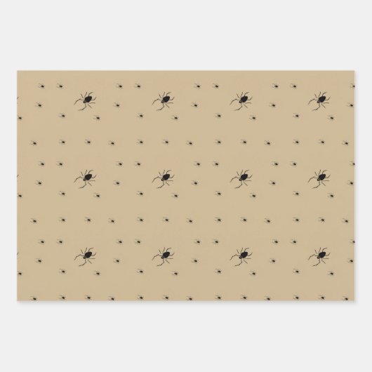 Papier d'enveloppement déplaisant d'araignée d'Hal (Devant)