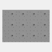 Papier d'enveloppement déplaisant d'araignée d'Hal (Devant)