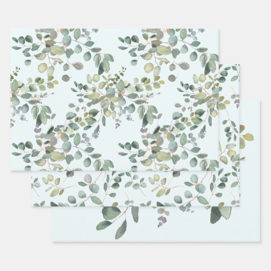 Papier d'enveloppement d'Eucalyptus Feuille plate  (Lot)