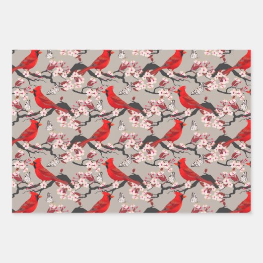 Papier d'enveloppement d'oiseaux Ensemble plat de  (Devant 2)