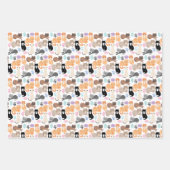 Papier d'enveloppement du pack de variété (Devant 3)