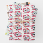 Papier d'enveloppement du pack de variété (En situation)