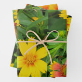 Papier d'enveloppement floral de fantaisie Jeu pla (En situation)