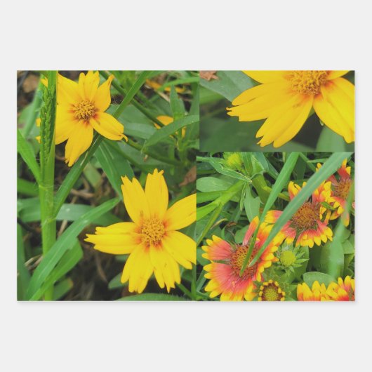 Papier d'enveloppement floral de fantaisie Jeu pla (Devant)